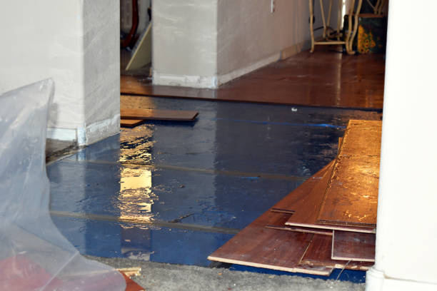 Professional Sewage Cleanup technician working in Port Jefferson, NY